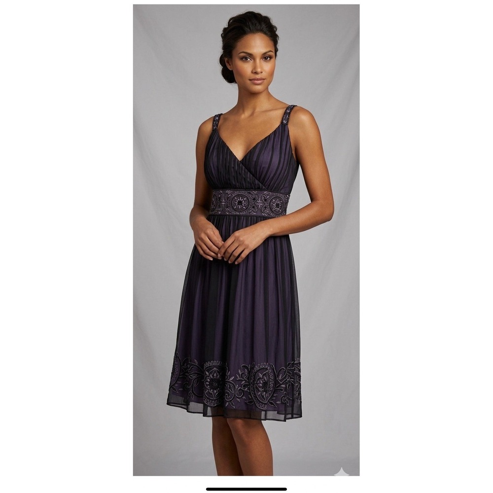 Patra Purple Silk Beaded Formal Chiffon Dress Empire Waist Size 16W.  Dark Fairy